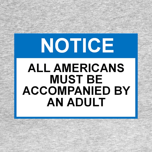 OSHA Style Notice - All Americans must be accompanied by an adult by Starbase79